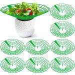 Asfasfq - support fraisier, 8 pices protection fraisier, amovible support pour fraisier, support culture ...