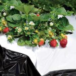 Asfasfq - tenax film de forage 1, 40 x 10 m black&white cover blanc / noir, film anti - mauvaises herbes ...