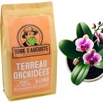Asfasfq - terre d'auguste - terreau orchidée 6l, substrat premium pour rempotage orchidée, idéal pour ... Asfasfq - terre d'auguste - terreau orchidée 6l, substrat premium pour rempotage orchidée, idéal pour ...