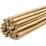 Asfasfq - tuteur bamboo 60 cm pack 25 units Ø 6 - 8 mm tuteurs pour plantes de tomates, de lgumes et ...