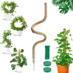 Asfasfq - tuteur plante grimpante, 1 x 160cm tuteur monstera, support de plante tuteur coco, pliable ... Asfasfq - tuteur plante grimpante, 1 x 160cm tuteur monstera, support de plante tuteur coco, pliable ...