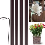 Asfasfq - tuteur plante grimpante interieur piquets de support pour plantes tige unique tuteurs tomates ... Asfasfq - tuteur plante grimpante interieur piquets de support pour plantes tige unique tuteurs tomates ...