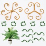 Asfasfq - vlyx lot de 2 tuteurs pour plantes monstera avec 10 clips support de tige robuste accessoires ...