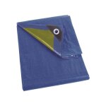 B�che bleu / vert standard 6x10 m