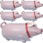 Ballon gonflable enfant 5 pcs