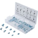 Bgs assortiment graisseurs, 70 pi�ces, m�trique, 1 pi�ces, 8065 - 1