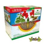 Blumat syst�me 12 plantes
