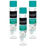 Boldair lot de 3 désodorisants aromathérapie activ 500 ml parfum thé vert forme et bien - être Boldair lot de 3 désodorisants aromathérapie activ 500 ml parfum thé vert forme et bien - être