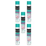 Boldair lot de 5 désodorisants aromathérapie 500 ml activ sensitive patchouli personnes sensibles Boldair lot de 5 désodorisants aromathérapie 500 ml activ sensitive patchouli personnes sensibles