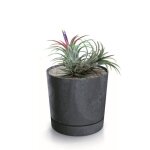 Botle pot de fleur rond anthracite plastique beton effect cache pot 17, 5 cm decoratif bac a plantes ... Botle pot de fleur rond anthracite plastique beton effect cache pot 17, 5 cm decoratif bac a plantes ...