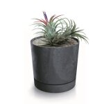 Botle pot de fleur rond anthracite plastique beton effect cache pot 28, 3 cm decoratif bac a plantes ... Botle pot de fleur rond anthracite plastique beton effect cache pot 28, 3 cm decoratif bac a plantes ...