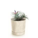 Botle pot de fleur rond creme en plastique beton effect cache pot 14, 7 cm decoratif bac a plantes avec ... Botle pot de fleur rond creme en plastique beton effect cache pot 14, 7 cm decoratif bac a plantes avec ...