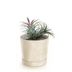 Botle pot de fleur rond creme en plastique beton effect cache pot 17, 5 cm decoratif bac a plantes avec ... Botle pot de fleur rond creme en plastique beton effect cache pot 17, 5 cm decoratif bac a plantes avec ...