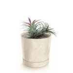Botle pot de fleur rond creme en plastique beton effect cache pot 19, 6 cm decoratif bac a plantes avec ...