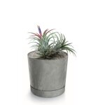 Botle pot de fleur rond gris clair plastique beton effect cache pot 10, 9 cm decoratif bac a plantes ...