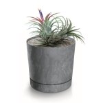 Botle pot de fleur rond gris plastique beton effect cache pot 28, 3 cm decoratif bac a plantes avec soucoupe ... Botle pot de fleur rond gris plastique beton effect cache pot 28, 3 cm decoratif bac a plantes avec soucoupe ...