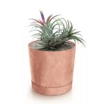 Botle pot de fleur rond terre cuite marron plastique beton effect cache pot 28, 3 cm decoratif bac a ...