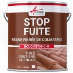 Bouchetanche - peinture fibre de colmatage fuite rparation tanchit tuile gouttire cheneau trou ...