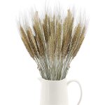 Bouquet de 100 pis de bl schs naturels pour vase, table, balcon