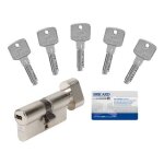 Bricard - cylindre de serrure a6 30 x 30 à bouton avec 5 clés - gris Bricard - cylindre de serrure a6 30 x 30 à bouton avec 5 clés - gris
