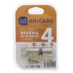 Bricard serial xp 18004 cylindre 30 + 30 mm a bouton nickel� niveau de s�curit� 4