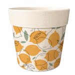 Cache pot bambou citrons 6 cm