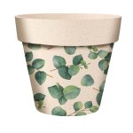 Cache pot bambou motif eucalyptus 6 cm