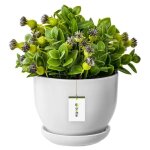 Cache - pot en c�ramique - botle - d 160 mm - peint a la main - blanc - avec trou de drainage
