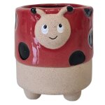 Cache pot de fleurs - coccinelle