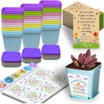 Cadeaux pour les etudiants des enseignants, paquet de 36 cadeaux de classe pour 30 ecoliers, cadeaux ... Cadeaux pour les etudiants des enseignants, paquet de 36 cadeaux de classe pour 30 ecoliers, cadeaux ...
