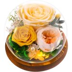 Cadeau de fte des mres, rose eternelle cadeau femme fleur eternelle - rose sous cloche, naturelle fleur ...