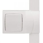 Cadre 1 poste pour moulure dlplus hauteur 20 mm - legrand 031408