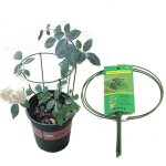 Cadre de support en m�tal pour plantes de jardin, pivoine, anneau de pieu, support de fleurs, plantes ...