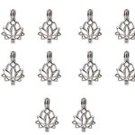 Cage de perles creuses, 10 pi�ces, bo�te magique, pendentif d'eau douce, accessoires de perles d'hu�tre, ...