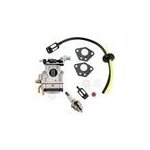 Carburateur pour d�broussailleuse 52cc 49cc 43cc carbu kit avec joint, tuyau, bougie d'allumage et filtre ...