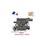 Carburateur pour élagueuse 25cc ( petite tronconneuse ) Carburateur pour élagueuse 25cc ( petite tronconneuse )