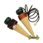 Carotte blumat houseplant