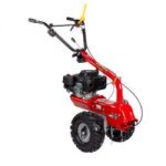 Cellule motrice - moteur b&s series 850 ohv 190cc - p70 evo eurosystems