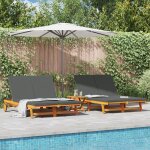 Chaise longue double vidaxl, avec roulettes et coussin en bois d'acacia Chaise longue double vidaxl, avec roulettes et coussin en bois d'acacia