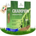 Checarzhn - - no1 - champion gazon a semer - graine pelouse rsistant a la scheresse - semences de gazon ...