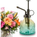 Checarzhn - - no1 - vaporisateur d'arro en verre, arrosoir vaporisateur vintage, pulvrisateur plantes ...