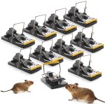 Chenquansarl - lot de 10 piège a souris, piège a souris reutilisable avec ressort puissant, puissant, ... Chenquansarl - lot de 10 piège a souris, piège a souris reutilisable avec ressort puissant, puissant, ...