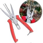 Ciseaux a double bec en acier inoxydable forg pour pommiers, poiriers, outils agricoles, pour eclaircir ...