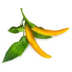 Click & grow piment jaune Click & grow piment jaune