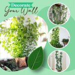 Clip de fixation pour plantes grimpantes, 10 pices, crochet de jardin invisible auto - adhsif en ...