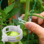 Clips de support durables pour plantes de jardin - 100 clips rutilisables pour tomates et treillis pour ...