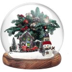 Cloche en verre transparente avec base en bois, vitrine dcorative pour plantes, fleurs, pierres, papillons, ...