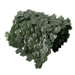Cl�ture de confidentialit� en lierre artificiel 0, 5x3m, haie artificielle et fausse feuille de vigne ...
