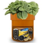 Coffre - fort de drivation pour cls caches - pour extrieur, jardin, maison, bureau, cour, cache, ...
