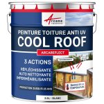Cool roof - peinture toiture blanche r�fl�chissante, anti chaleur, auto nettoyante : arcareflect blanc ...
